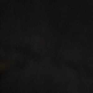 Meet your Posher, Luis